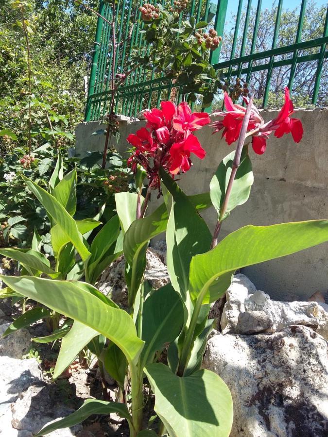 Villa Sunny Day Saints Constantine and Helena Bagian luar foto